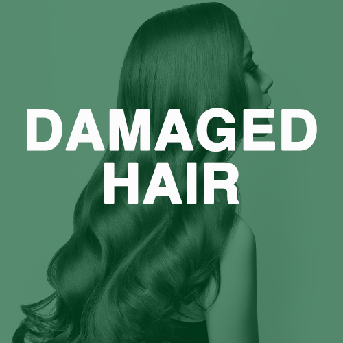 Damaged Hair